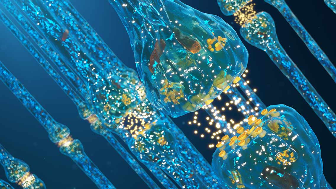 brain cells connecting