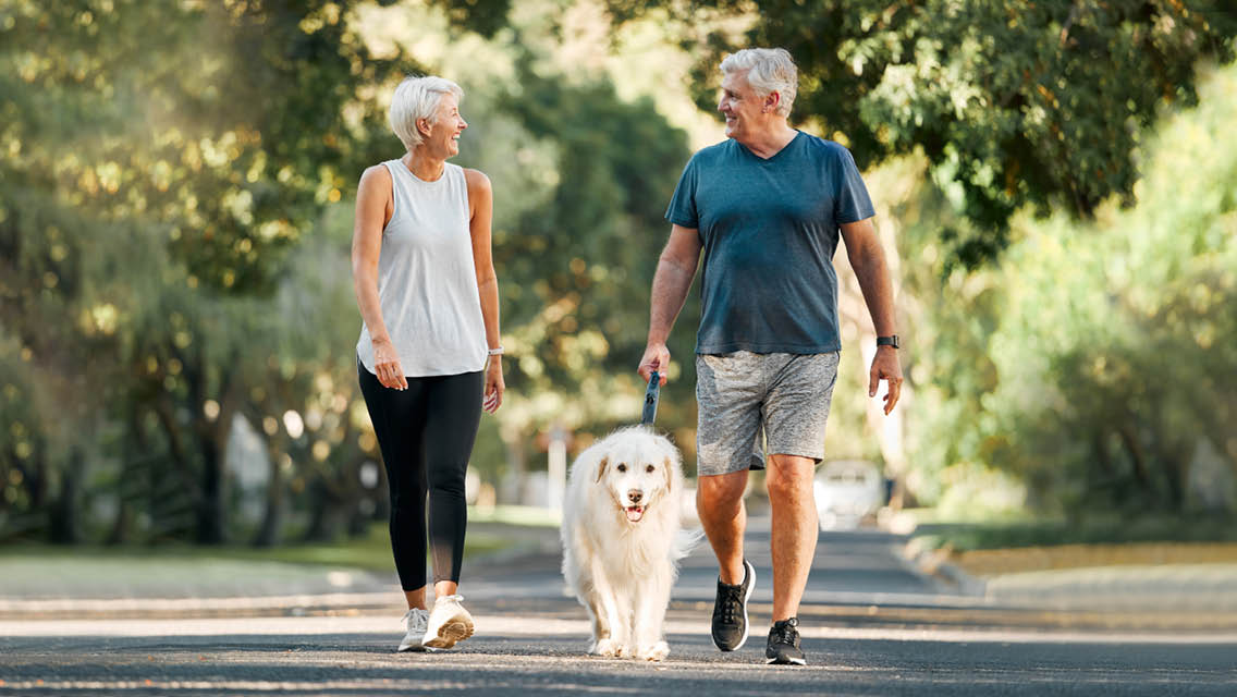 a couple walking their dog on a city street