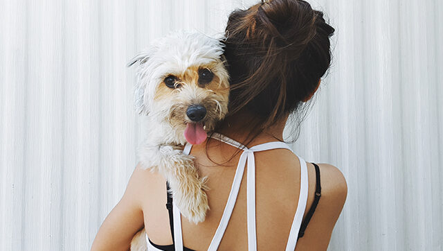 Dog Owners Live Longer