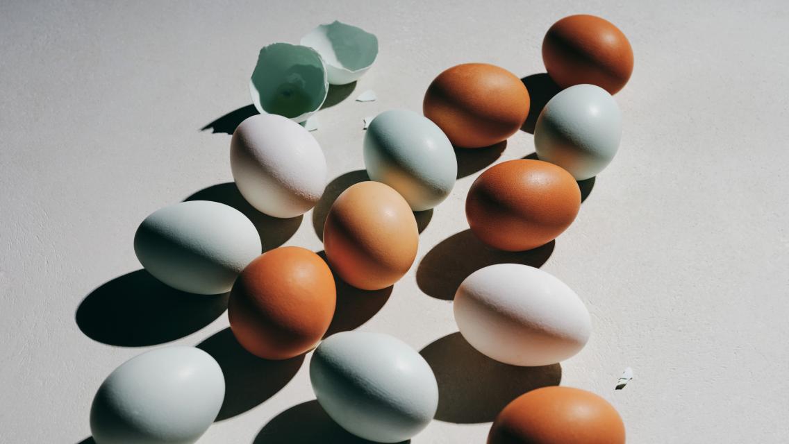 brown and white eggs