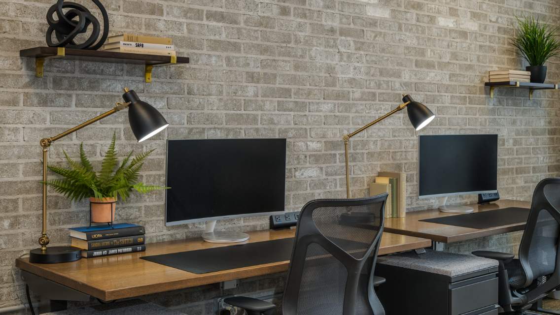 Two workspaces set up with computer monitors, plants, and lamps.