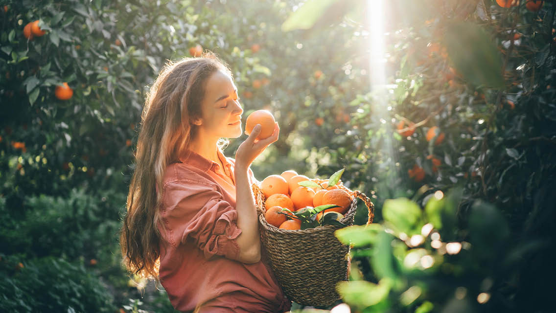 a woman sniffs an orange in an orange grove