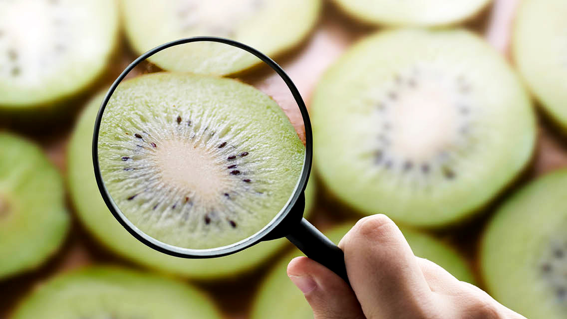 kiwi
