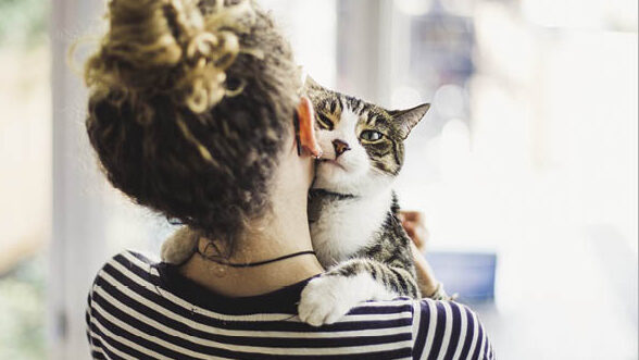 Person cuddling cat