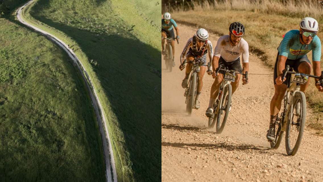 bikers and a green road
