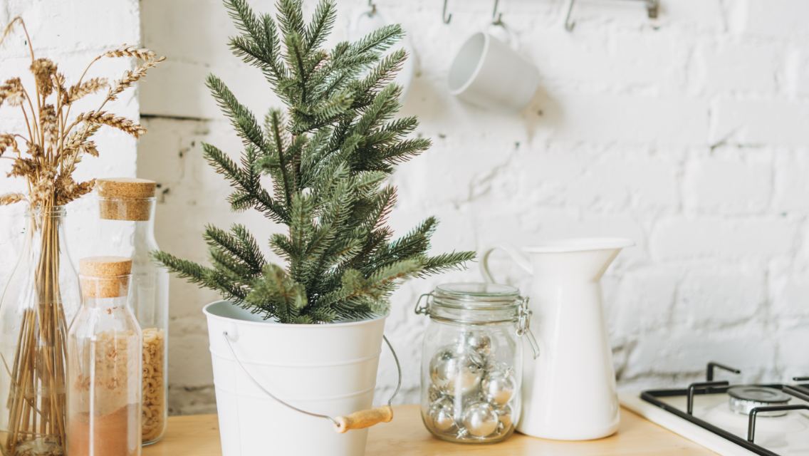A pot of seasonal greenery on a kitchen countertop.