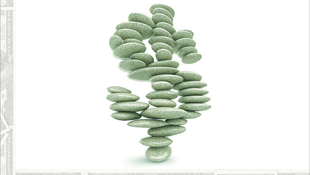 Green rocks arranged to form the money symbol