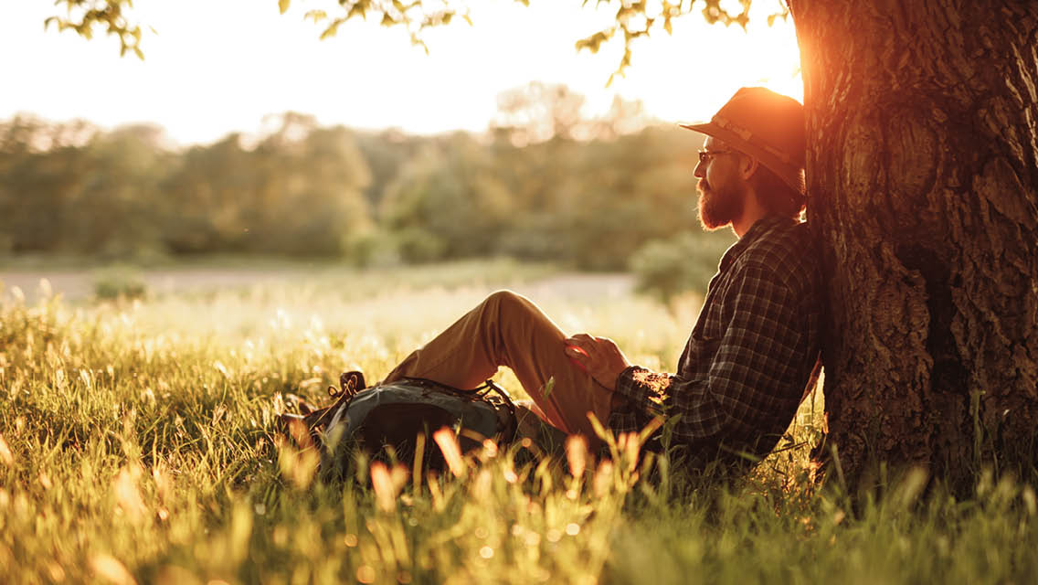 a man sits under a tree.