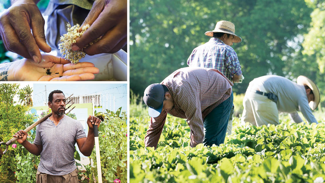 images of farmers and laborers