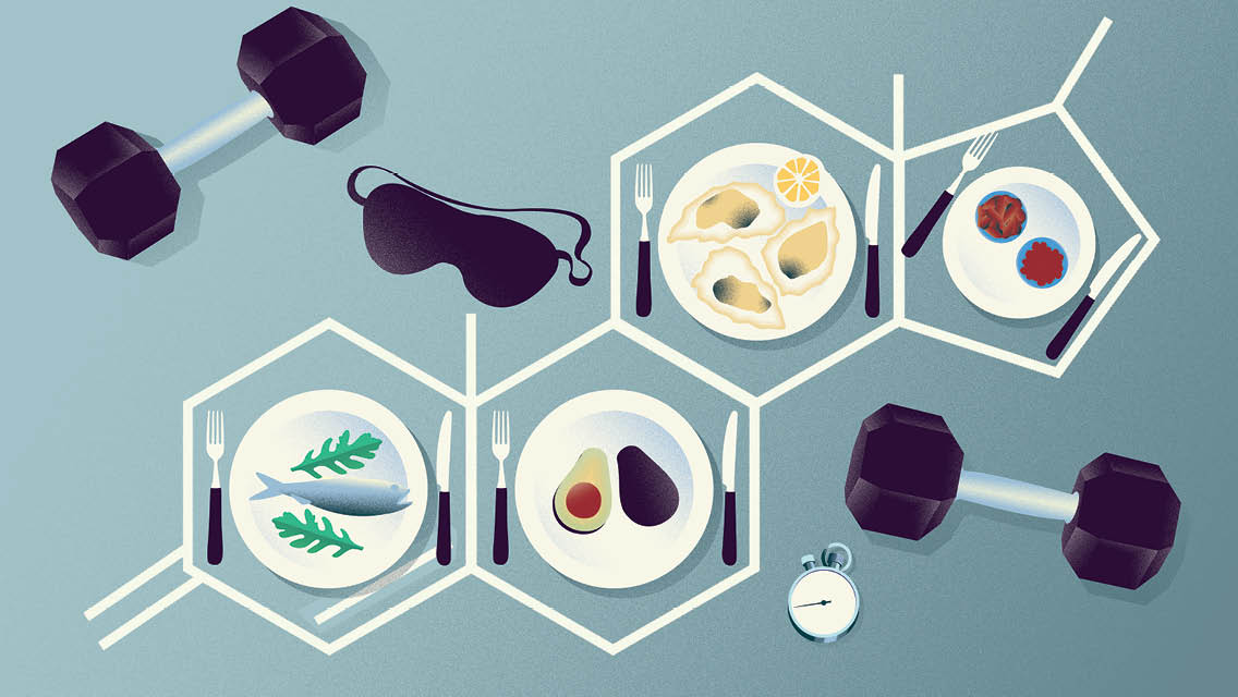 illustration of a molecule with testosterone supporting food and life style support