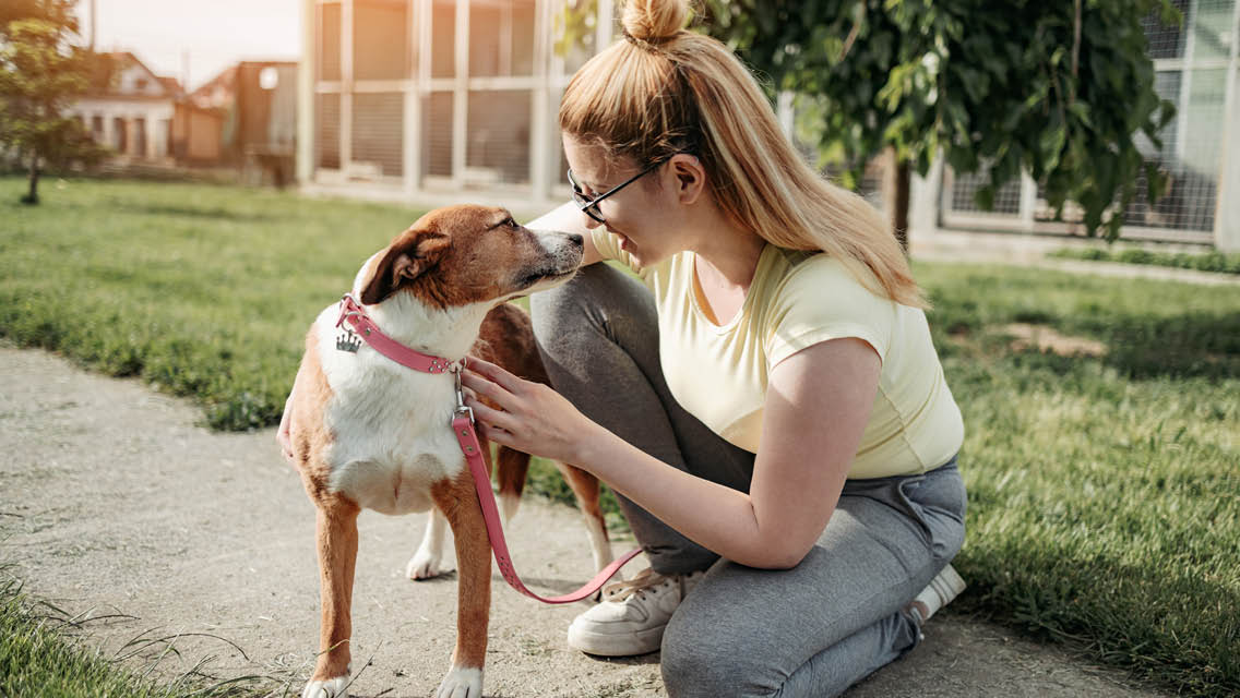 a woman pets a dog